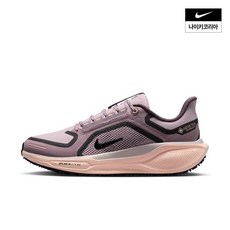 나이키 여성 페가수스 41 GORE-TEX FQ1357-004 355624