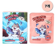 이루앙 고양이 습식사료 파우치 간식 면역력, 7개, 70g, 연어