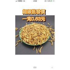 邦邦水族 10公斤麵包蟲乾，刺蝟/蜜袋鼯/鳥類/觀賞魚/寵物鼠/兩棲爬蟲飼料, 1個, 10公斤