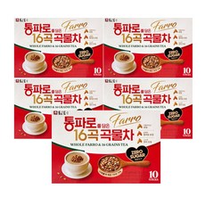 담터 통파로 16곡 곡물차 10입, 5개, 10개입, 20g