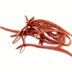 미끼 긴 물고기용 낚시 용품 유인 체어 바늘 상어 대구 곰치 붕어 애호박 매운탕, 본상품