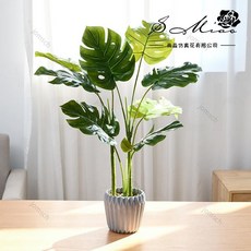 仿真綠植大盆栽：台灣現貨，室內裝飾仿真盆栽，熱帶植物攝影道具, JH5935大號龜背葉盆景, 1個