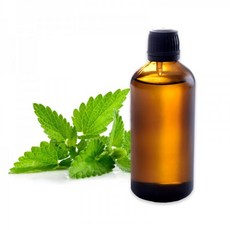 캔들이케아 [캔들이케아]아로마 페퍼민트 에센셜오일, 1개, 100ml