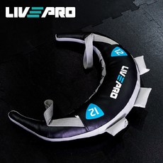 리브프로 불가리안 백 헬스용품 8Kg, 블랙, 1개