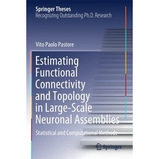 (영문도서) Estimating Functional Connectivity and Topology in Large-Scale Neuronal Assemblies: Statistic... Paperback, Springer, English, 9783030590444