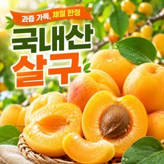 픽앤프레쉬 산지직송 제철 살구, 1박스, 3kg