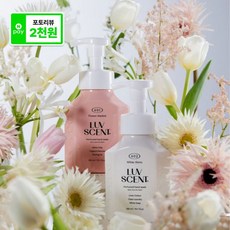 럽센트 퍼퓸 핸드워시 300ML 3개
