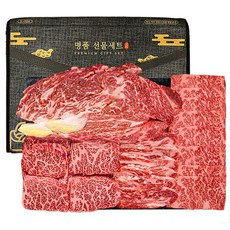 푸드지 마장동 1++ 투뿔 한우 No.9 마스터 세트, 1세트, 1.2kg