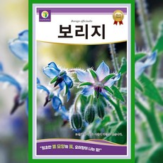 보리지 씨앗 1g 허브 종자 보리지씨 텃밭 화단 꽃씨
