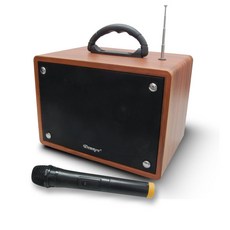 Dennys 藍牙 USB SD FM 便攜迷你音響 戶外室內皆宜, 原木色, WS-350BT