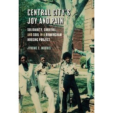 (영문도서) Central City's Joy and Pain: Solidarity Survival and Soul in a Birmingham Housing Project Paperback, University of Georgia Press, English, 9780820365756