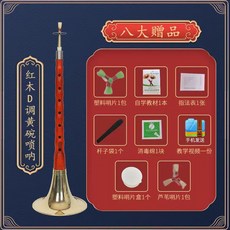 烏木黑檀木嗩吶樂器全套組：初學者專業入門D調民族大小號喇叭公司貨, 紅木D調黃碗+八大贈品【初學】, 1個