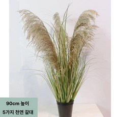 대형 인조갈대 나뭇가지 인테리어 조화, 5헤드 진짜 갈대풀 천연 90cm