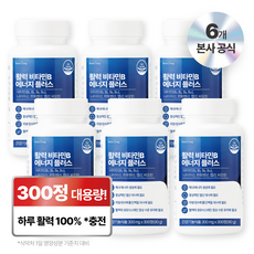 뉴트리정 활력 비타민B 에너지 플러스 대용량, 6개, 300정