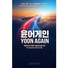 (영문도서)Yoon Again: Beyond Abnormal to Normal: A Bilingual Edition Paperback, Independently Published, English, 9798277130940