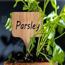 끈이스토어 식물 화분 이름표 T형 네임택