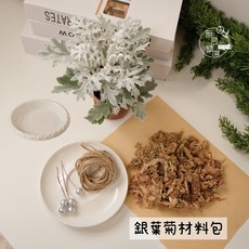 聖誕水苔球DIY材料包 - 真植物3寸盆栽, 1個, 銀葉菊/水苔球材料包
