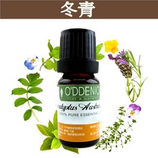 《歐丹尼》冬青純精油 (冬綠樹) 10ml-50ml - 優質單方純精油系列, 1個, 冬青10ml