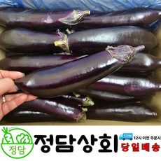 [ 정담상회 ] 국내산 가지 상등급 못난이가지 5kg내외 10kg내외 업소용 가정용가지, 1박스, 5kg