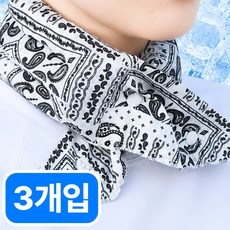 핏츠런 쿨 스카프 아이스 넥쿨러 국산, 1개, 3종 세트 페이즐리 패턴 1개, 3종 세트 페이즐리 패턴