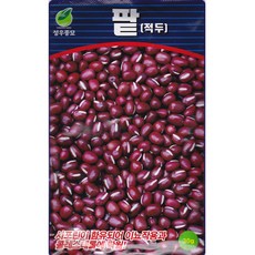 팥 씨앗 30g 적두콩씨, 1개