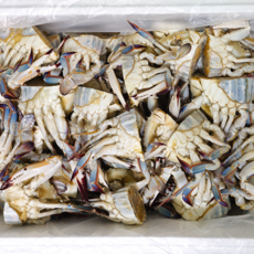 국내산 연평도 절단 꽃게 냉동 암꽃게 업소용 대용량 8kg, 1박스