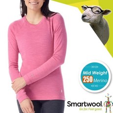 SmartWool 女 中厚保暖 圓領長袖羊毛衛生衣 NTS 250 內搭保暖衣 登山刷毛衣