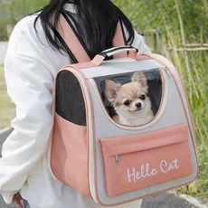 고양이 이동장 이동가방 반려동물용품 백팩 강아지 이동켄넬 70557pc 1(PC), 차콜