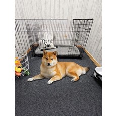 애견매트 사계절 사용 가능 대형견용 미끄럼 방지 방수 내마모성 강아지 매트, 1개, 50x60