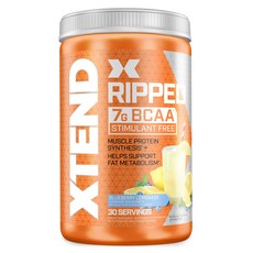 캐나다 BCAAs 아미노산 베스트셀러 Top, 1개, 42.시베이션 엑스텐드 BCAA 블루베리레모 501g