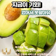 [고객감사할인] 노마진 프리미엄 아보카도 특가판매, 5개, 특대