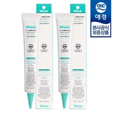 [애경] 휘슬 덴티스마일 치약 러블리베리, 2개, 50ml