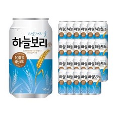 웅진 하늘보리, 340ml, 24개