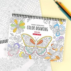 컬러 드로잉북 미술 연습 스프링북 쉬운 디자인북