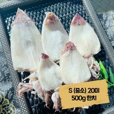 초이스건어물 건한치 S (중소) 20마리 500g 내외, 1개