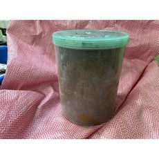 【虹森林】花金龜土罐大罐 (做土繭用), 1個