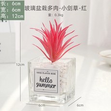 台灣熱賣ins風仿真多肉盆栽，仙人掌綠植客廳擺件，小盆栽裝飾品綠植假花桌面擺設，輕鬆打造清新居家風格, 小劍草-紅+ins小方玻, 1個