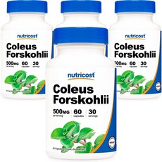 nutricost 毛喉鞘蕊膠囊 500mg, 60顆, 4罐