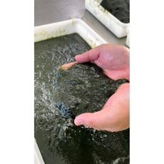 완도 매생이 800g 매생이굴국 매생이전, 2개, 400g