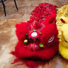 舞龍舞獅道具南獅小黃獅醒獅服裝道具錶演整套正品獅子頭舞獅兒童 醒獅 舞龍舞獅