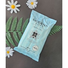 경량 수지점토 파디코 모데나 소프트 (150g), 1개