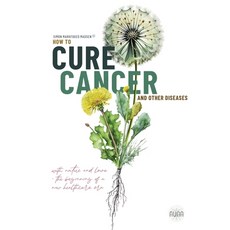 (영문도서) How To Cure Cancer And Other Diseases: The beginning of a new health care era! Paperback, Publishdrive, English, 9788797528303