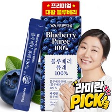 비타민마을 미국산 통째로 대왕 블루베리 퓨레 100%, 14개, 20g