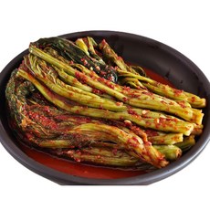 국내산 더평창 오대산 돌산 갓김치, 1개, 2kg