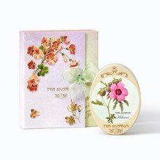 티뮤지움 히비스커스 (틴케이스 SET 잎차50g) 597180, 티뮤지움 히비스커스 (틴케이스 SET 잎차50g) 59