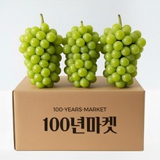 초고당도 프리미엄 샤인머스캣 2kg 4kg 특품 / 국내산 수출용, 1박스