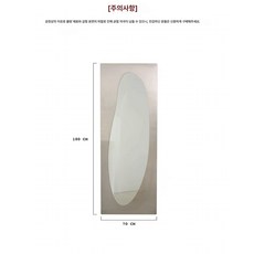 스텐레스 전신거울 실버 공룡알 대형 기타 프레임 비정형, 구매 전 안내