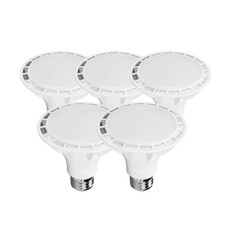 라인조명 LED에코 파30램프 15W PAR30 집중형 확산형, 5개, 1. 확산형 주광색(하얀빛)