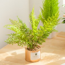 아디안텀 고사리 조화 화분 캔 set 35cm 인테리어 식물 테이블 장식 소품 꾸미기, 아디안텀캔화분, 1개