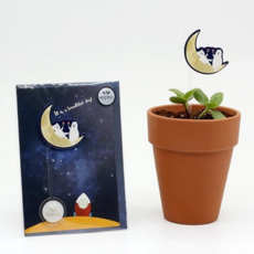 새싹 키우기 씨앗 키트 데스크 해바라기 키우기 테이블 메시지 가드닝 간단 생일 활동 학습 관찰 원예 자연